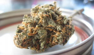 CBD