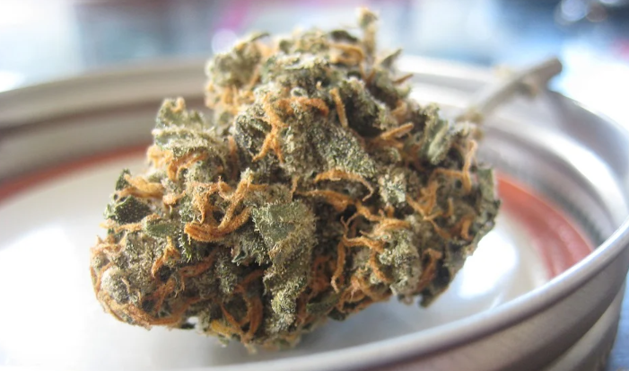 CBD